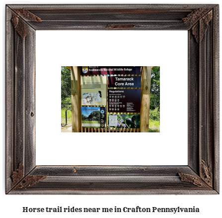 horse trail rides near me in Crafton, Pennsylvania